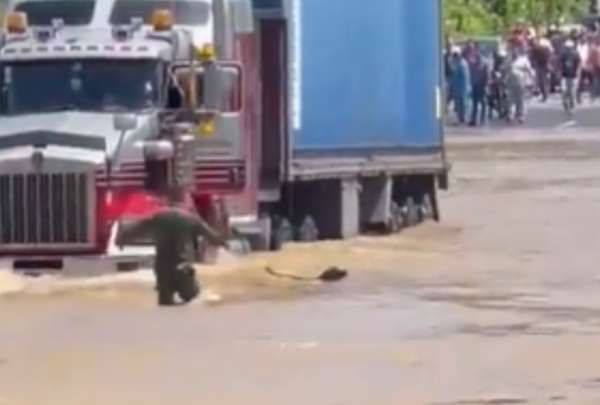 Militar salva a un perro de ser atropellado por un tr&aacute;iler