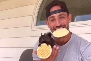 Peanut, la ardilla influencer sacrificada en Nueva York
