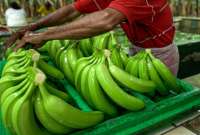En el primer semestre de 2025, el país alcanzó un incremento del 30,7% en exportaciones agropecuarias y agroindustriales, frente al mismo período del año anterior.