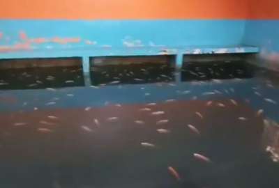 Criadero de tilapias durante el control en la Penitenciar&iacute;a del Litoral el 3 de agosto de 2023.
