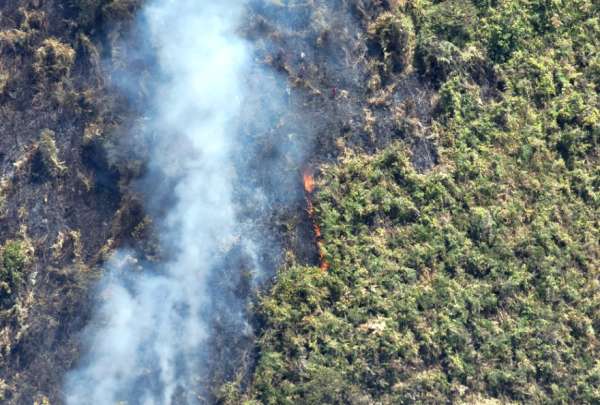 El Ministerio de Educaci&oacute;n confirm&oacute; las modalidades de trabajo de planteles ubicados en la zona de influencia de los incendios del Parque Nacional Cajas.