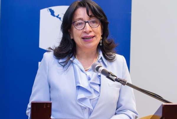 Solanda Goyes, vocal del Consejo de la Judicatura, es se&ntilde;alada por incumplimiento de funciones en relaci&oacute;n a la creaci&oacute;n de un reglamento para jueces y judicaturas en materia constitucional.