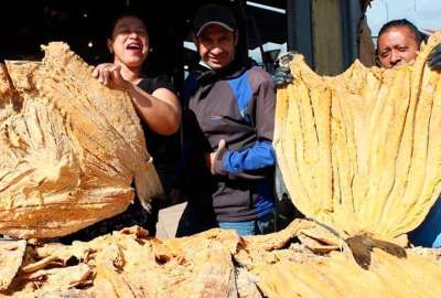 Los productos llegan desde Gal&aacute;pagos, Guayas, Manab&iacute; y Esmeraldas. 