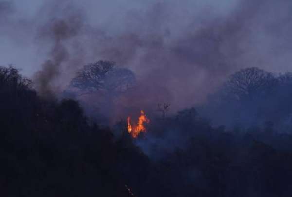 Seg&uacute;n Alcald&iacute;a de Guayaquil, incendio en Cerro Azul est&aacute; 90% controlado