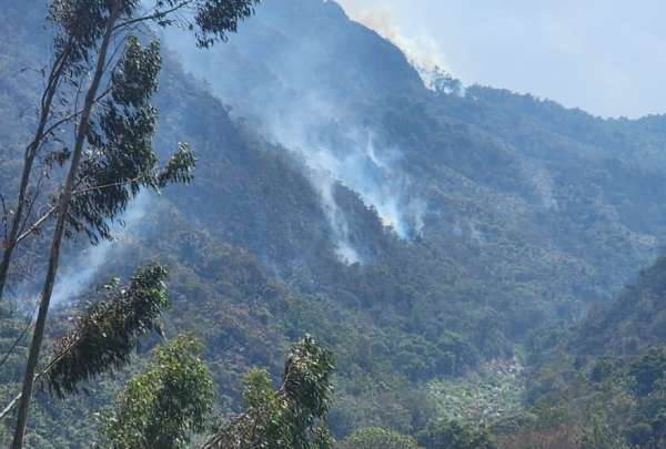 En los &uacute;ltimos d&iacute;as, los incendios forestales devastan importantes zonas de los cantones Loja y Cuenca, poniendo en riesgo la biodiversidad, los hogares y la vida de los habitantes. 