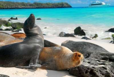 Gal&aacute;pagos en la lista de &ldquo;World's Greatest Places 2022&rdquo; por la revista TIME