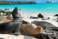 Gal&aacute;pagos en la lista de &ldquo;World&amp;#039;s Greatest Places 2022&rdquo; por la revista TIME
