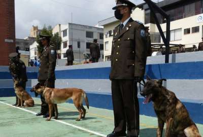 Los cuatro perros de raza pastor belga malinois ser&aacute;n adiestrados en la detecci&oacute;n de sustancias catalogadas sujetas a fiscalizaci&oacute;n.