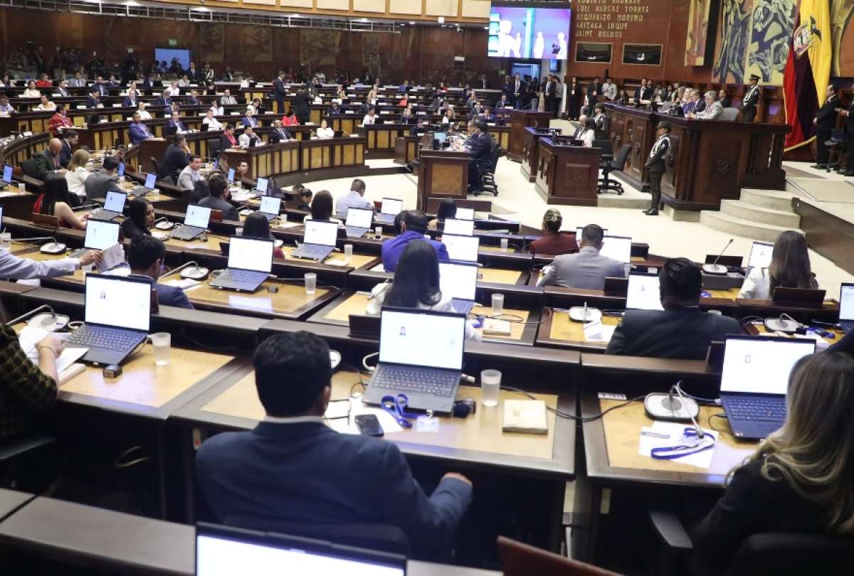 El presidente de la Asamblea, Niels Olsen, convocó al pleno para continuar con la organización interna del Legislativo.