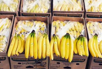 Las exportaciones de banano se han fortalecido, tras las relaciones entre China y Ecuador.
