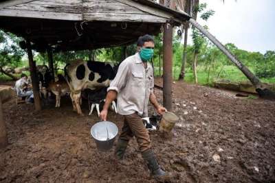Crisis en Cuba: Gobierno pide ayuda para solventar la falta de leche en menores de 7 a&ntilde;os