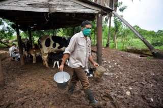Crisis en Cuba: Gobierno pide ayuda para solventar la falta de leche en menores de 7 a&ntilde;os