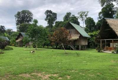 Un total de 88.000 nuevas hect&aacute;reas de bosques nativos son parte de la adenda en Sucumb&iacute;os.