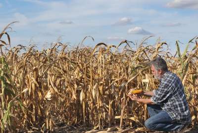 Un informe de la ONU revela que el clima extremo eleva los precios de los alimentos y agrava la desnutrici&oacute;n.