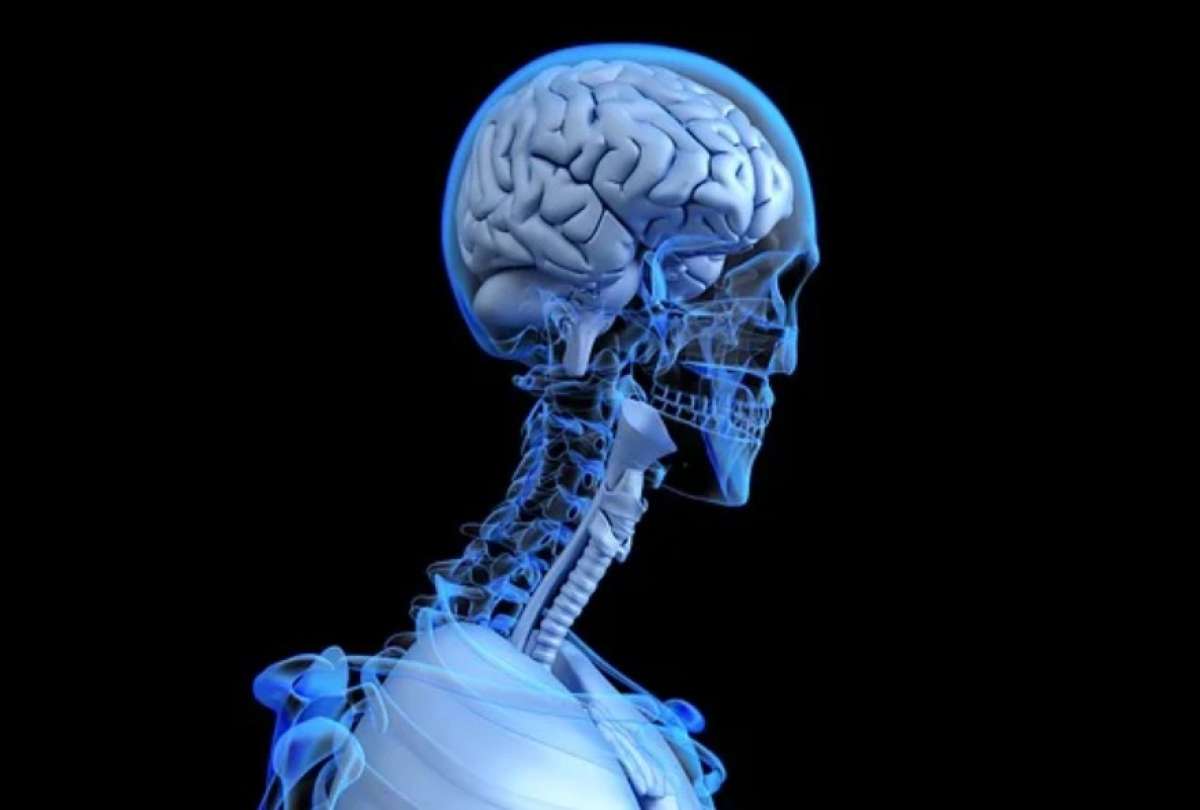 Un caso de infección de la 'ameba comecerebros' se reportó en Estados Unidos