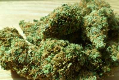 La Polic&iacute;a incauta m&aacute;s de 96 000 dosis de marihuana en el Tena