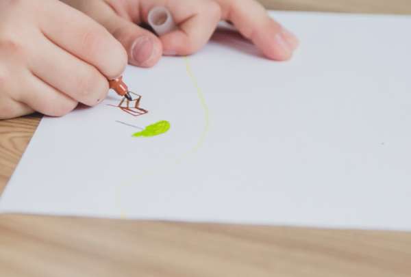 Escribir a mano estimula un &ldquo;circuito de lectura&rdquo; en el cerebro infantil. 