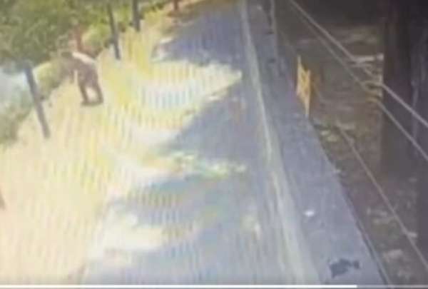 Al menos dos incendios habr&iacute;an sido provocados en la capital ecuatoriana. 