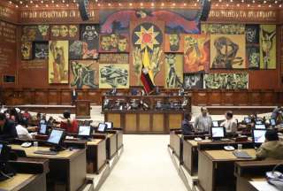 Reformas que plantea la Consulta Popular ser&aacute;n tratadas en el Pleno