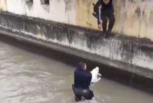El hecho quedó registrado en video y compartido en redes sociales.