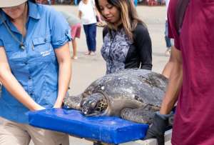 La empresa privada deja una huella sostenible