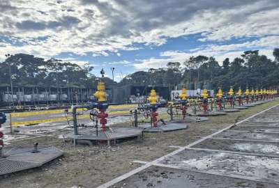 En la Consulta Popular del 20 de agosto de 2023, la mayor&iacute;a de la poblaci&oacute;n de Ecuador decidi&oacute; no explotar el petr&oacute;leo del Bloque 43, ubicado en la provincia de Orellana.