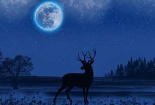 Luna de Ciervo: La primera superluna de julio