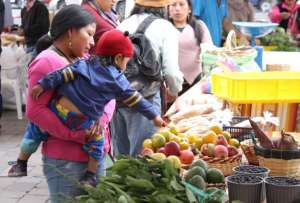 Gobierno busca reducir la desnutrición crónica infantil a 19,1%, en un año.