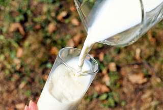 Ocho nutrientes de la leche esenciales para el rendimiento escolar