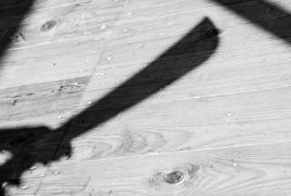 Un perro fue atacado con un machete; trat&oacute; de defender a un guardia