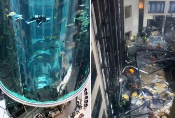 Acuario estalla en un hotel de Berl&iacute;n y deja 1500 peces esparcidos por el piso