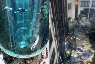 Acuario estalla en un hotel de Berl&iacute;n y deja 1500 peces esparcidos por el piso