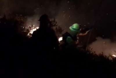 El hombre caus&oacute; el 90 % de incendios forestales de 2017 en EE.UU.