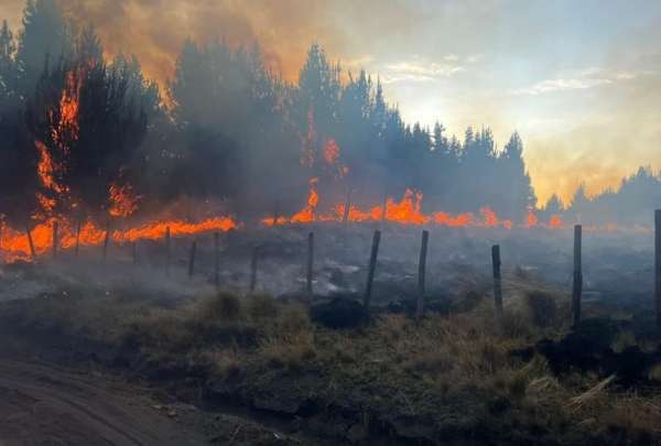 M&aacute;s de 100 hect&aacute;reas consumidas por las llamas, mientras helic&oacute;pteros y bomberos luchan contra el fuego en Latacunga.