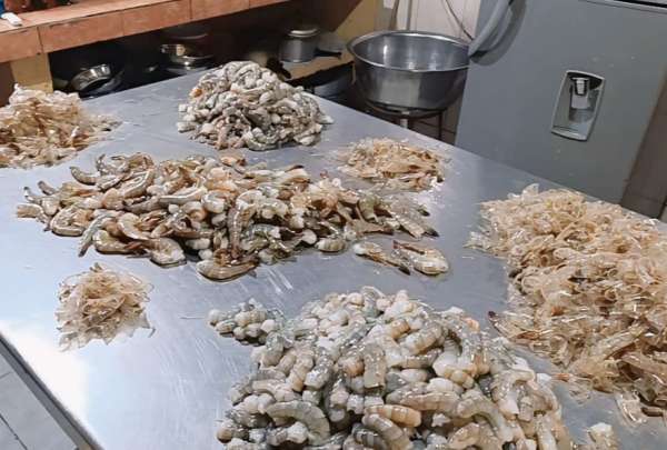 La ARCSA clausur&oacute; un chifa en Chunchi. En el sitio preparaban la comida entre plagas e insalubridad. 