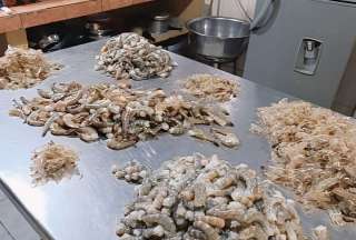 Clausuran chifa por vender comida preparada entre plagas y basura