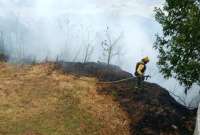 El n&uacute;mero de incendios en el pa&iacute;s pas&oacute; de 1.086 a 2.381, seg&uacute;n cifras de la Secretar&iacute;a de Riesgos. &iquest;Cu&aacute;ntas hect&aacute;reas quemadas se han registrados?