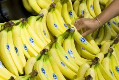 Rueda de Negocios de Banano gener&oacute; $ 54 millones
