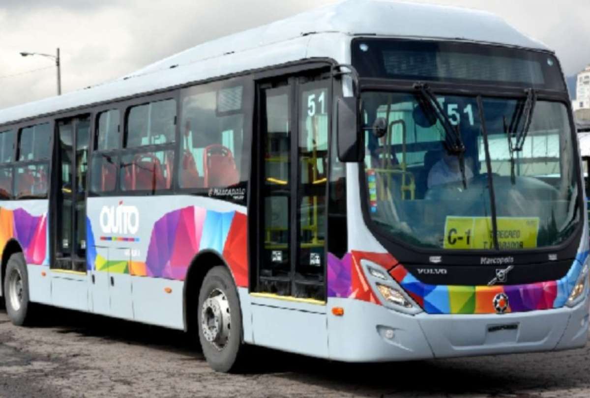 Los due&ntilde;os de las mascotas, en su mayor&iacute;a perros, deben seguir tres requisitos. 