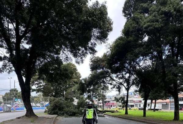 El incidente en el redondel del Mercado Mayorista no dej&oacute; heridos, pero provoc&oacute; el cierre temporal de la avenida Teniente Hugo Ortiz.