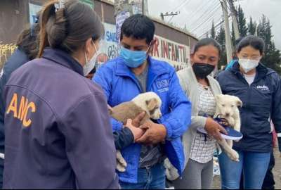 En Quito est&aacute; prohibida la venta de animales de compa&ntilde;&iacute;a en la v&iacute;a p&uacute;blica
