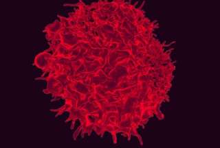 Vacuna contra el c&aacute;ncer se muestra "prometedora", seg&uacute;n cient&iacute;ficos