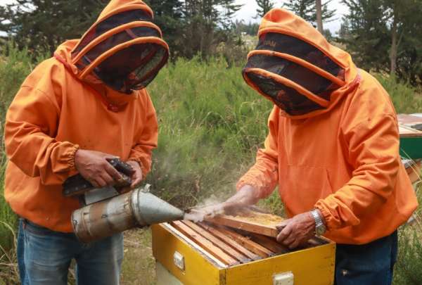 70.000 productores se benefician con los bonos RA&Iacute;CES