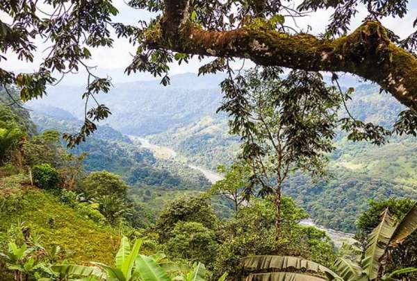El Choc&oacute; Andino es una zona considerada Reserva de la Bi&oacute;sfera y se ubica en el noroccidente de Quito. 