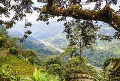 El Choc&oacute; Andino es una zona considerada Reserva de la Bi&oacute;sfera y se ubica en el noroccidente de Quito. 