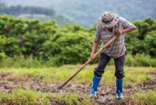 Gobierno anuncia compensaci&oacute;n para agroproductores afectados por las lluvias