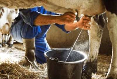 Las alarmas se encienden en Estados Unidos tras detectar gripe aviar en un lote de leche.