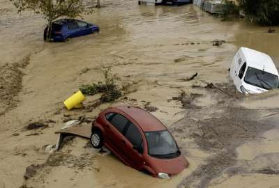 Refugios de animales claman ayuda por inundaciones en Valencia