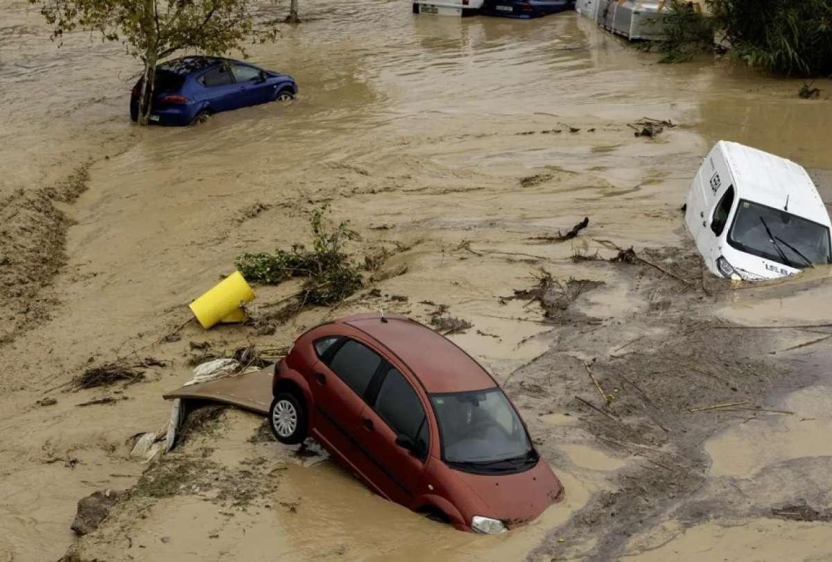 Refugios de animales claman ayuda por inundaciones en Valencia