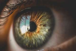 Reportan el primer trasplante de ojo completo con todo &eacute;xito